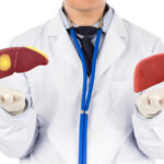 Gan nhiễm mỡ: Hiểu đúng để phát hiện sớm, điều trị kịp thời