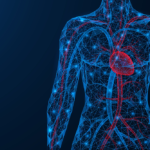Bệnh tim mạch là gì? Những thông tin cần biết về bệnh tim mạch