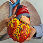 Nguyên nhân viêm cơ tim và yếu tố nguy cơ