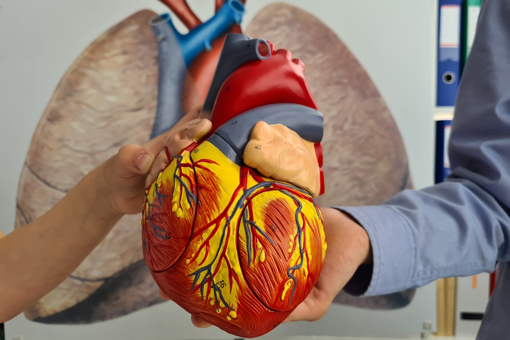 Nguyên nhân viêm cơ tim và yếu tố nguy cơ