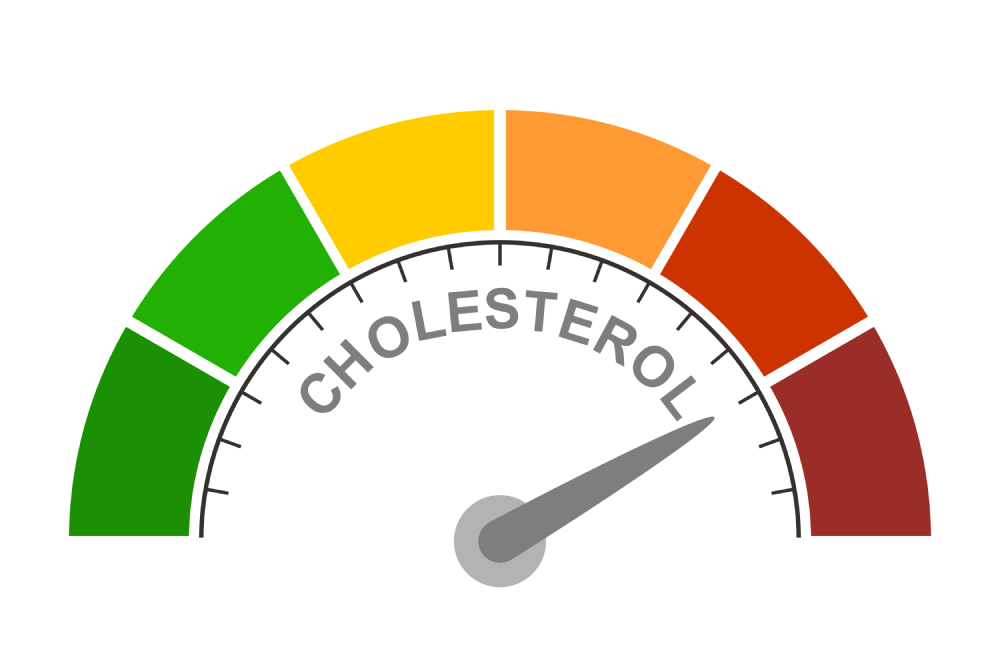 Rối loạn lipid máu có nguy hiểm không?