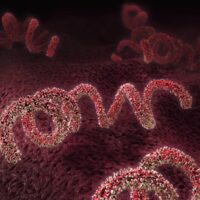 Bệnh giang mai giai đoạn cuối - Mối nguy hiểm khôn lường