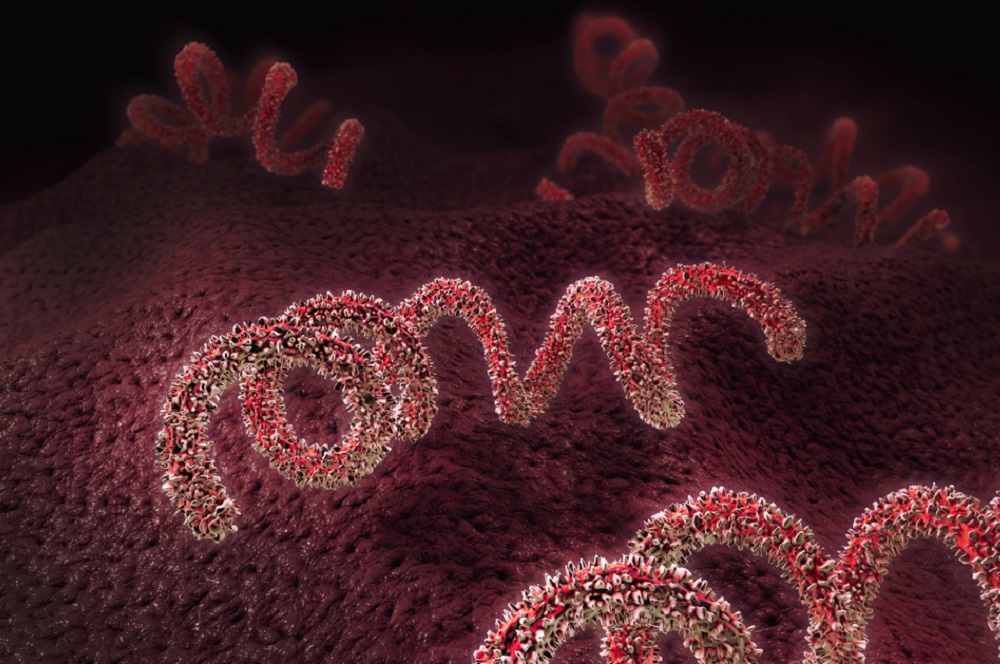 Bệnh giang mai giai đoạn cuối - Mối nguy hiểm khôn lường