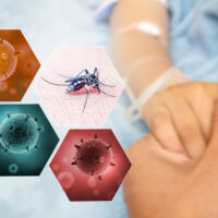 Các chủng sốt xuất huyết: Cách lây nhiễm và phòng ngừa bạn cần biết