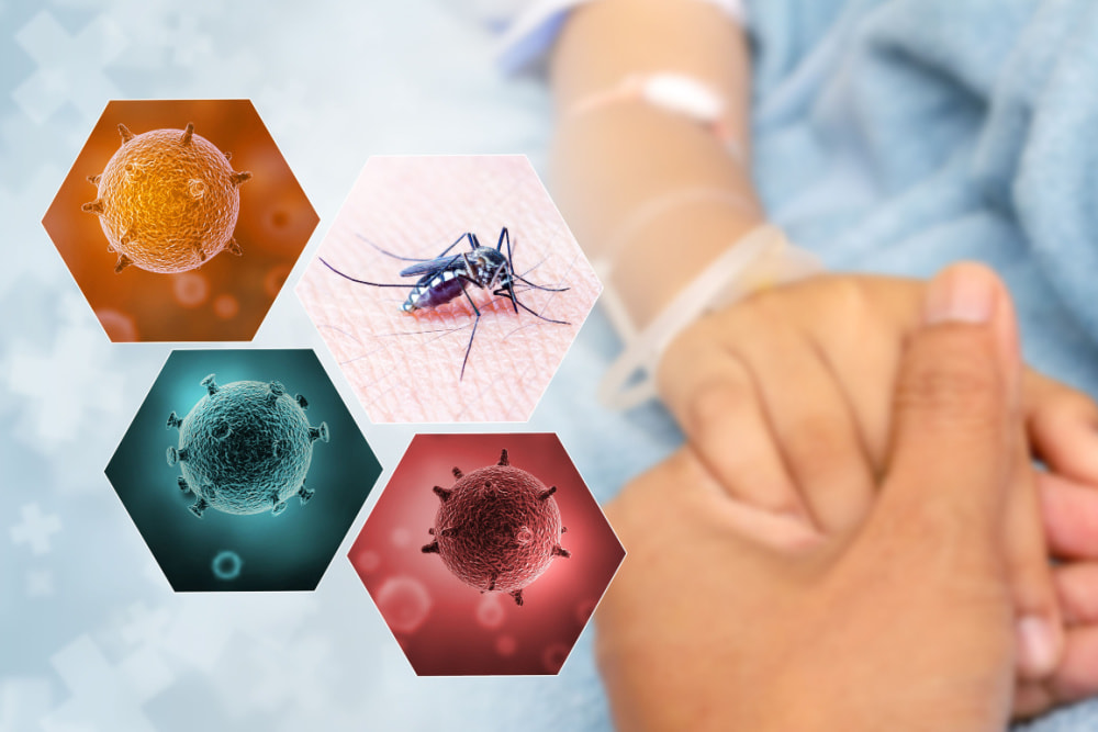 Các chủng sốt xuất huyết: Cách lây nhiễm và phòng ngừa bạn cần biết